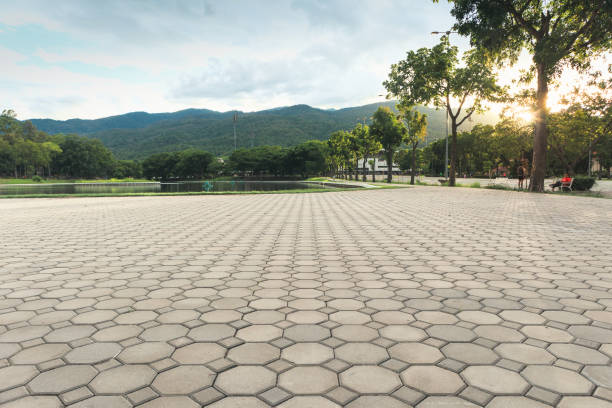 Best Decorative Driveway Pavers  in Frent Hills, MO
