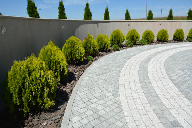 Best Permeable Paver Driveway  in Frent Hills, MO